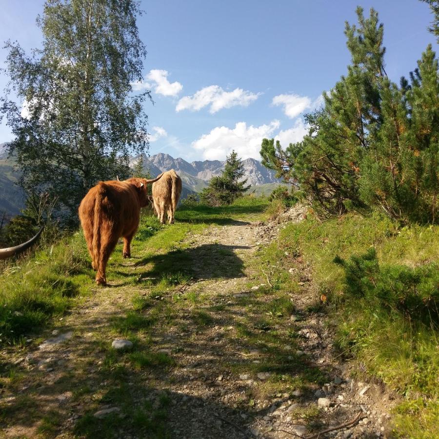 Stier Apartment Sankt Anton am Arlberg Esterno foto