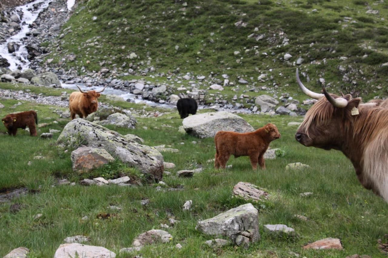 Stier Apartment Sankt Anton am Arlberg Esterno foto